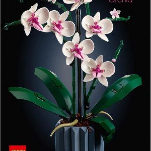 Creator ICONS Orchidee