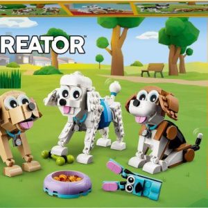 Creator Niedliche Hunde
