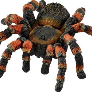 Vogelspinne