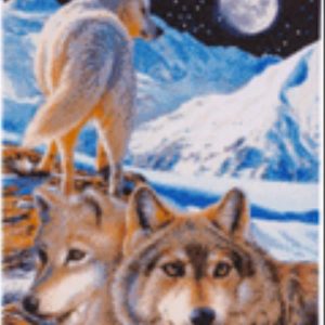 Crystal Art Der Wächter 40x50 cm