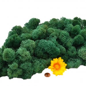 Muwse Islandmoos Kieferngrün 100 g Maßstab Spur G Modellbau