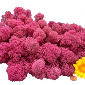 Muwse Islandmoos Veilchen Pink 100 g Maßstab Spur G Modellbau