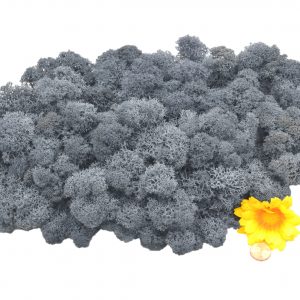 Muwse Islandmoos Titangrau 100 g Maßstab Spur G Modellbau
