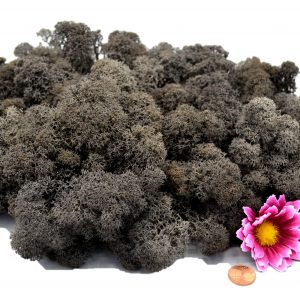 Muwse Islandmoos Dunkelgrau 100 g Maßstab Spur G Modellbau
