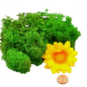 Muwse Islandmoos Grasgrün 10 g Maßstab Spur G Modellbau