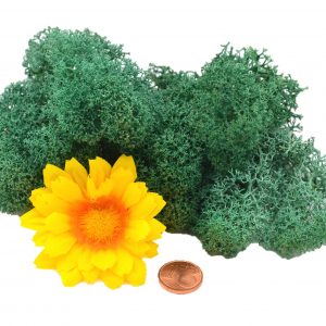 Muwse Islandmoos Kieferngrün 10 g Maßstab Spur G Modellbau