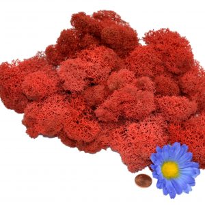 Muwse Islandmoos Mohnrot 25 g Maßstab Spur G Modellbau