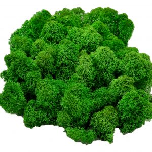 Muwse Islandmoos Grasgrün 50 g Maßstab Spur G Modellbau