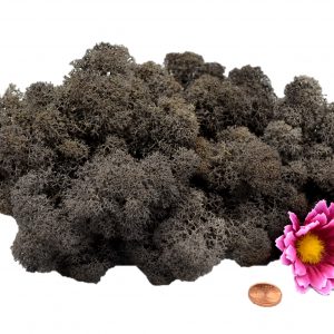 Muwse Islandmoos Dunkelgrau 50 g Maßstab Spur G Modellbau