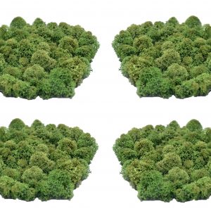Muwse Islandmoos Tannengrün 100 g Maßstab Spur N Modellbau