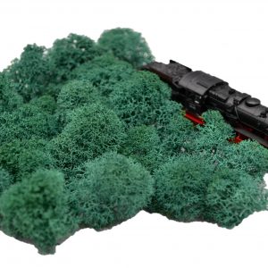 Muwse Islandmoos Kieferngrün 10 g Maßstab Spur N Modellbau