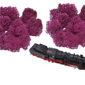Muwse Islandmoos Veilchen Pink 10 g Maßstab Spur N Modellbau
