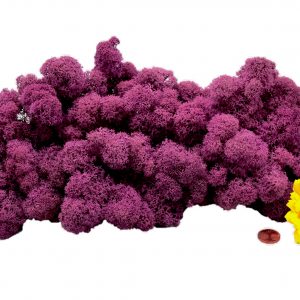 Muwse Islandmoos Viola 100 g Maßstab Spur 0 Modellbau