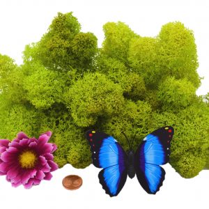 Muwse Islandmoos Frühlingsgrün 25 g Maßstab Spur 0 Modellbau