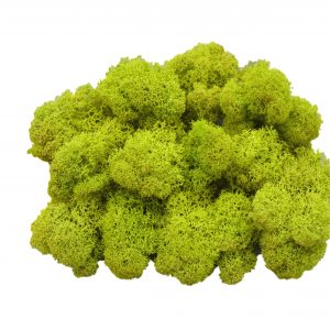 Muwse Islandmoos Frühlingsgrün 50 g Maßstab Spur 0 Modellbau