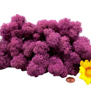 Muwse Islandmoos Viola 50 g Maßstab Spur 0 Modellbau