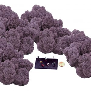 Muwse Islandmoos Flieder 100 g Maßstab Spur TT Modellbau