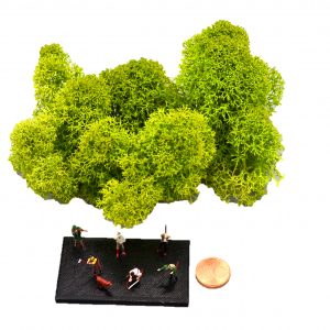 Muwse Islandmoos Frühlingsgrün 10 g Maßstab Spur TT Modellbau